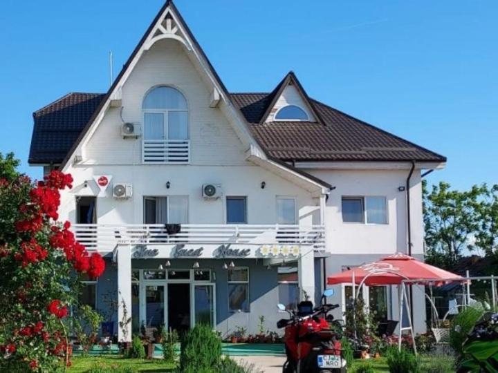 Tina Guest House Basarabi Екстер'єр фото
